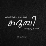 Phoenix Wright: Ace Attorney Trilogy Swiss State